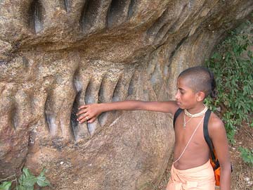 Eagle beak marks