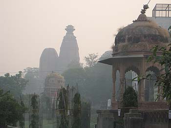 Karttika at Radha Damodar Mandir