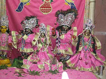 Karttika at Radha Damodar Mandir