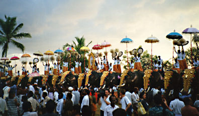 Elephant Procession