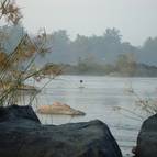 Sunrise at Kaveri