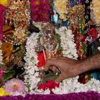 Janmastami 2009, Govindaji Gardens