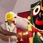 Ratha-Yatra in Govindaji Gardens - Photo 