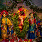 Sri Sri Radha-Madhava