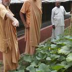 Visnu Maharaja Shows some of his vegetables to Guru Maharaja