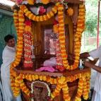 Ratha Yatra 2015 - Photo 