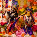 Sri Krsna Janmastami 2016 - Photo 