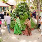 Govardhana Puja 2016 - Photo 