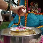 Govardhana Puja 2020 - Photo 